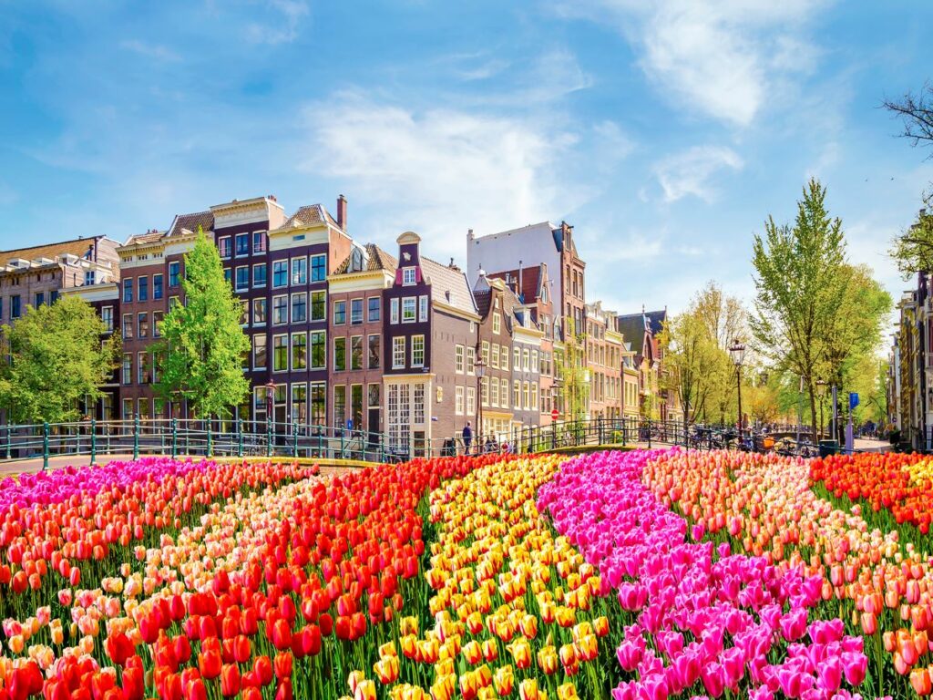 Getting to Know Amsterdam - Luxury Cruise Connections Blog