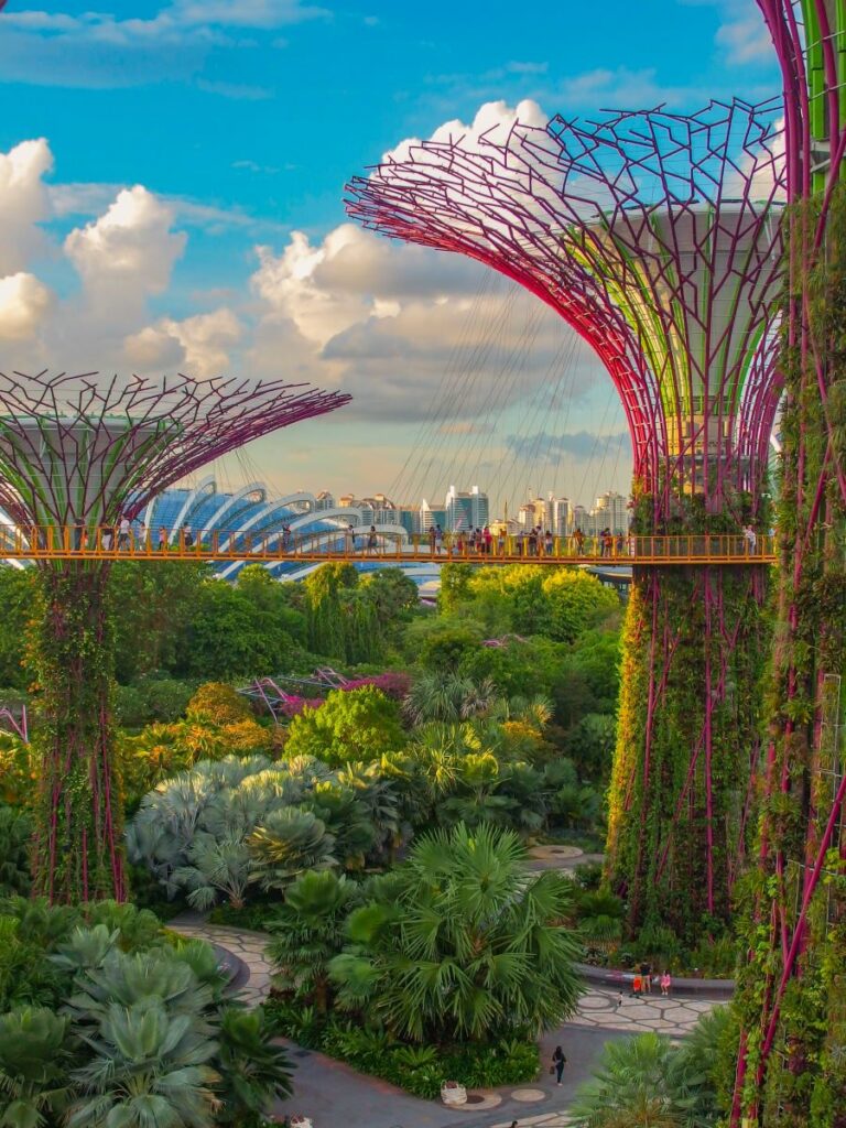 Gardens by the Bay Singapore 425610 2022 11 04 19 56 16