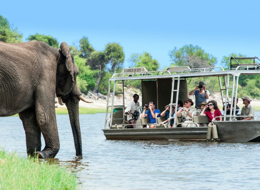 Game Viewing on a Chobe River Cruise