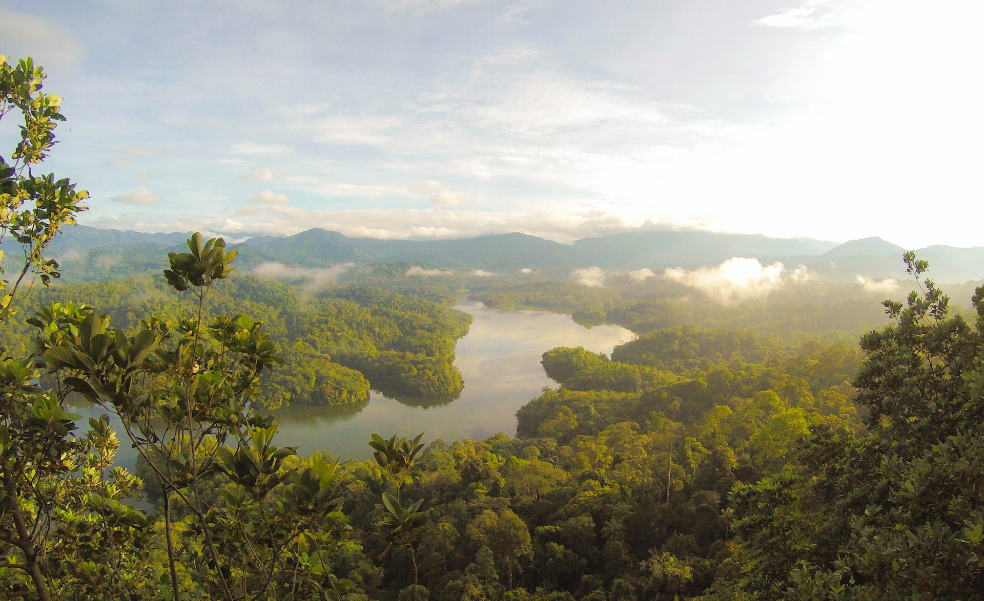 Rainforest and river aerial view with sun and clouds